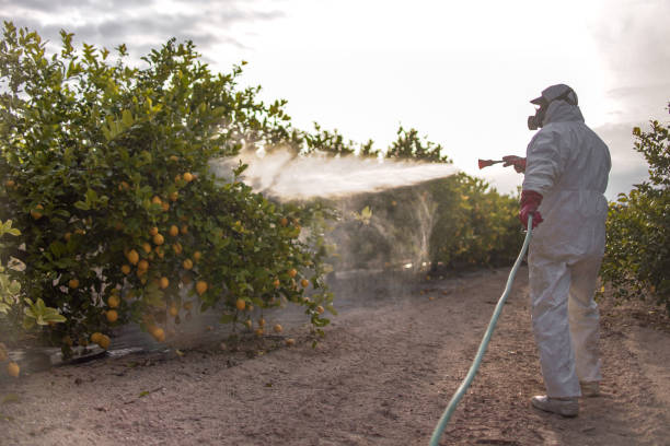 Best Affordable Pest Control Services  in Panaca, NV