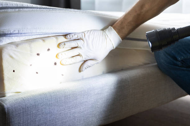 Best Pest Inspection Near Me  in Panaca, NV