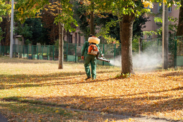 Professional Pest Control in Panaca, NV