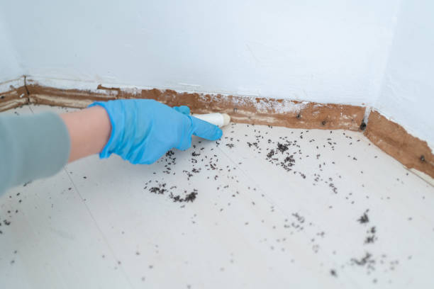 Best Commercial Pest Control Services  in Panaca, NV